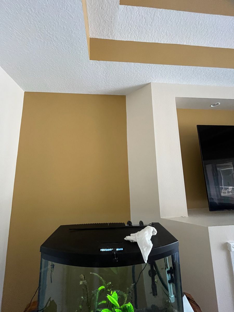 Kitchen and Cabinet Refinishing for Escorpio Painting in Tampa, FL