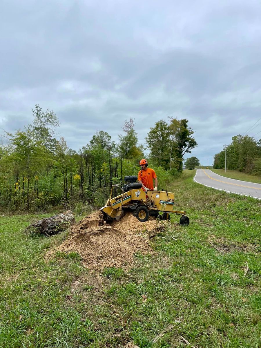 Stump Removal for Ross Family Tree Service LLC  in Hohenwald, TN