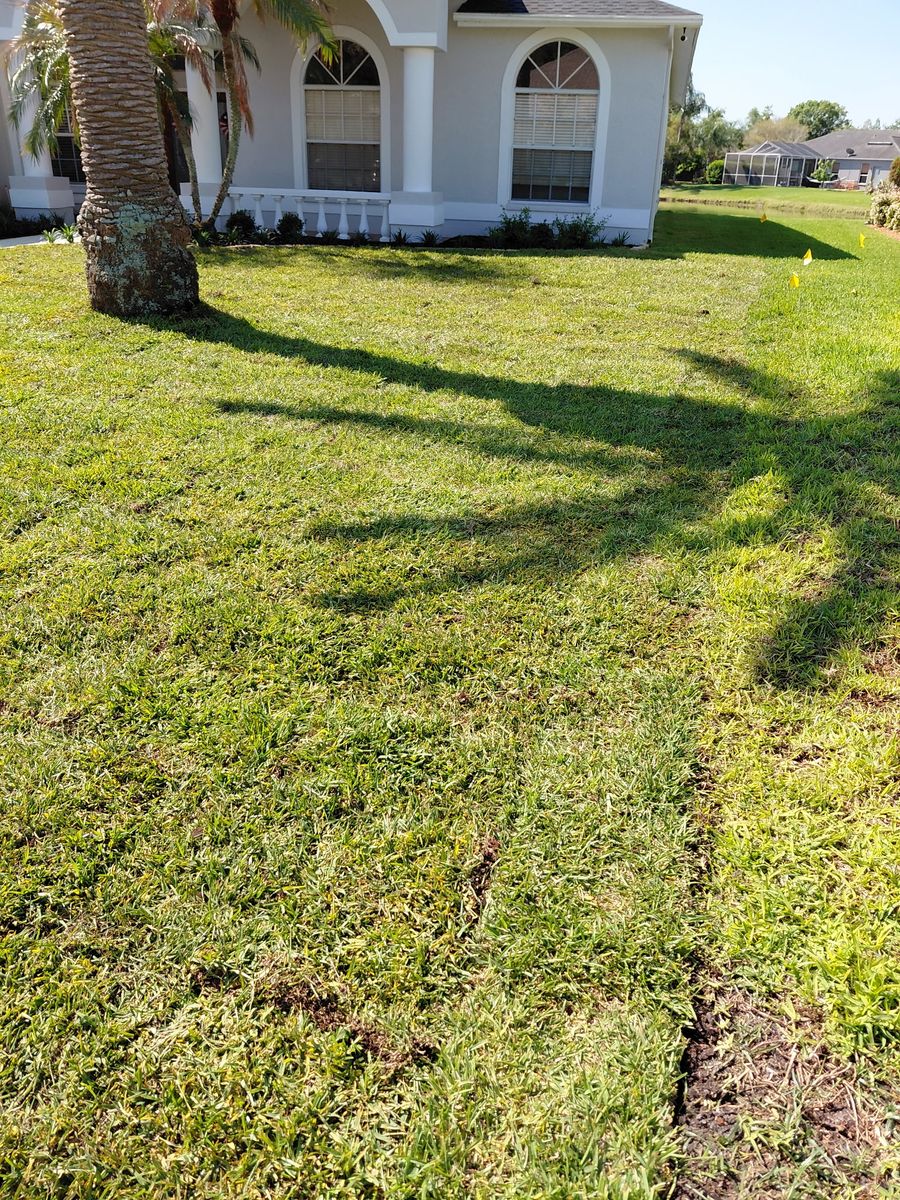 Sod Installation for Gulf Bay Sod in Clearwater, FL