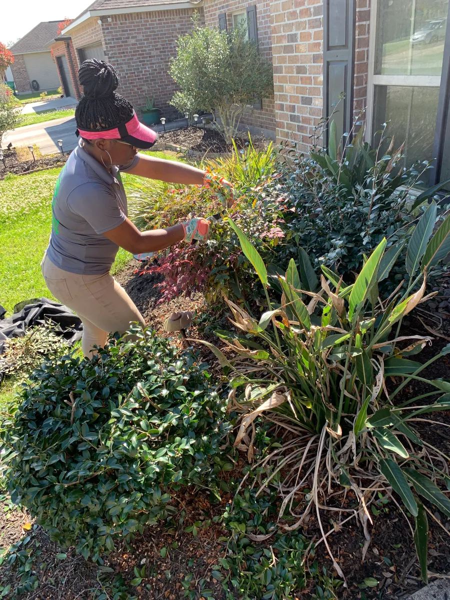 Fall Clean Up for Jay C’s Touch Landscaping & Pressure Washing Services LLC in Marrero, LA