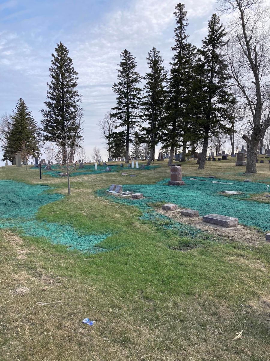 Reseeding for TS Hydroseeding in Morris,  MN