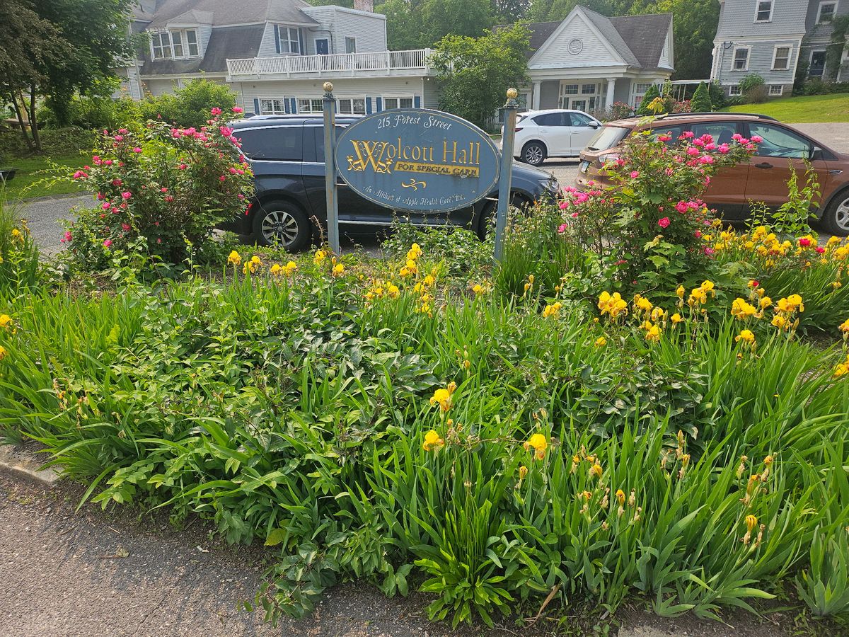 Landscape Installation for Landscape Innovations LLC in Torrington, CT