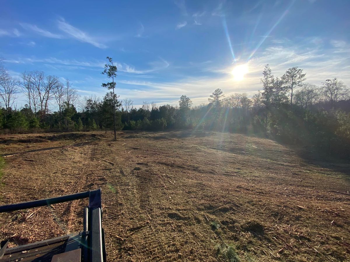 Forestry Mulching for Archer Land Management in Macon, GA