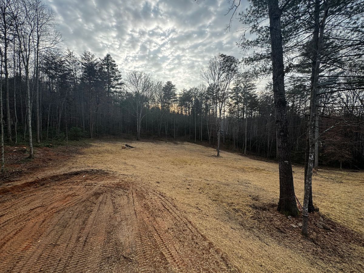 Tree Removal for C & D Landscaping Services LLC in Blairsville, GA