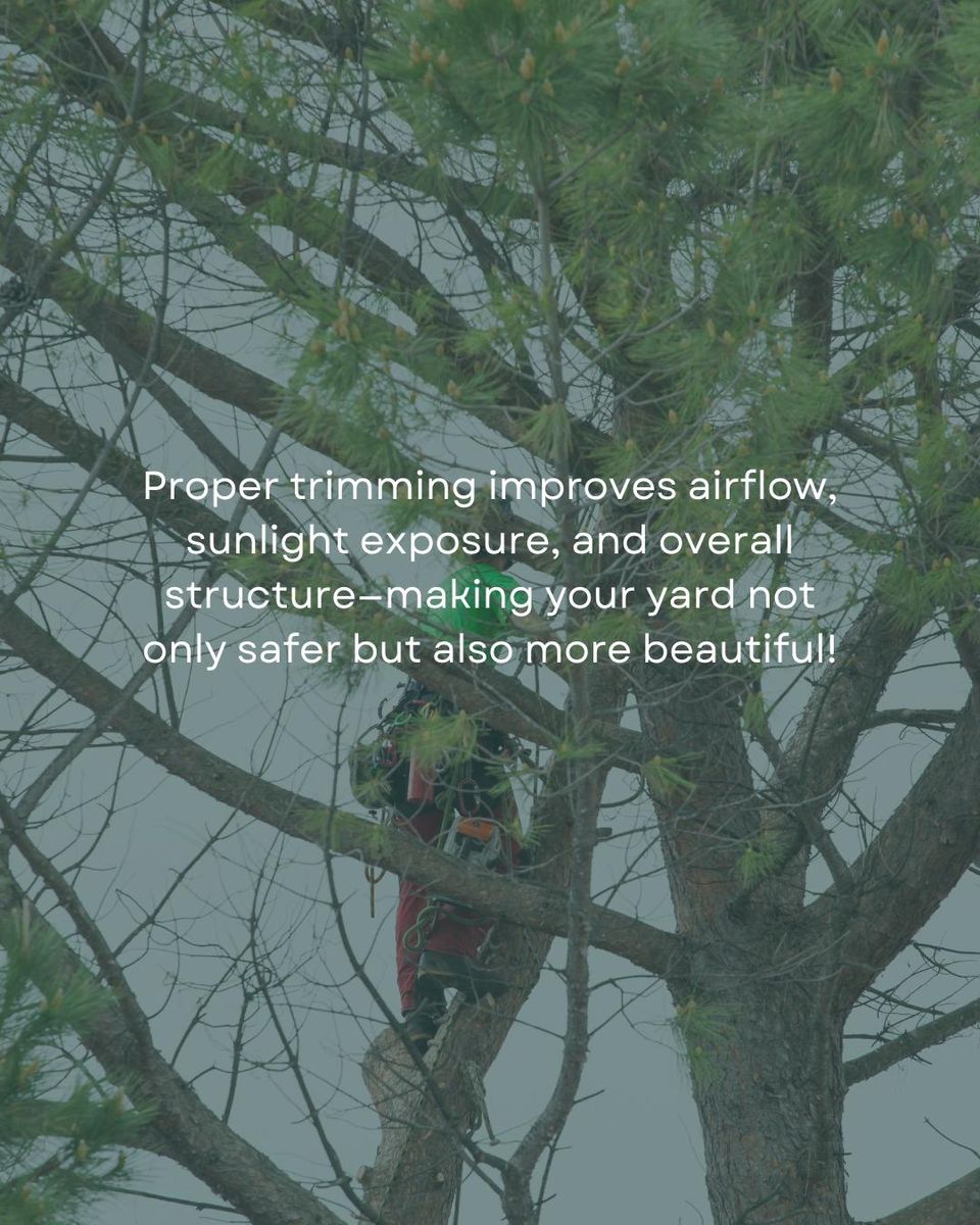 Tree Trimming for Oakwood Tree Removal LLC in Oak Creek,  WI