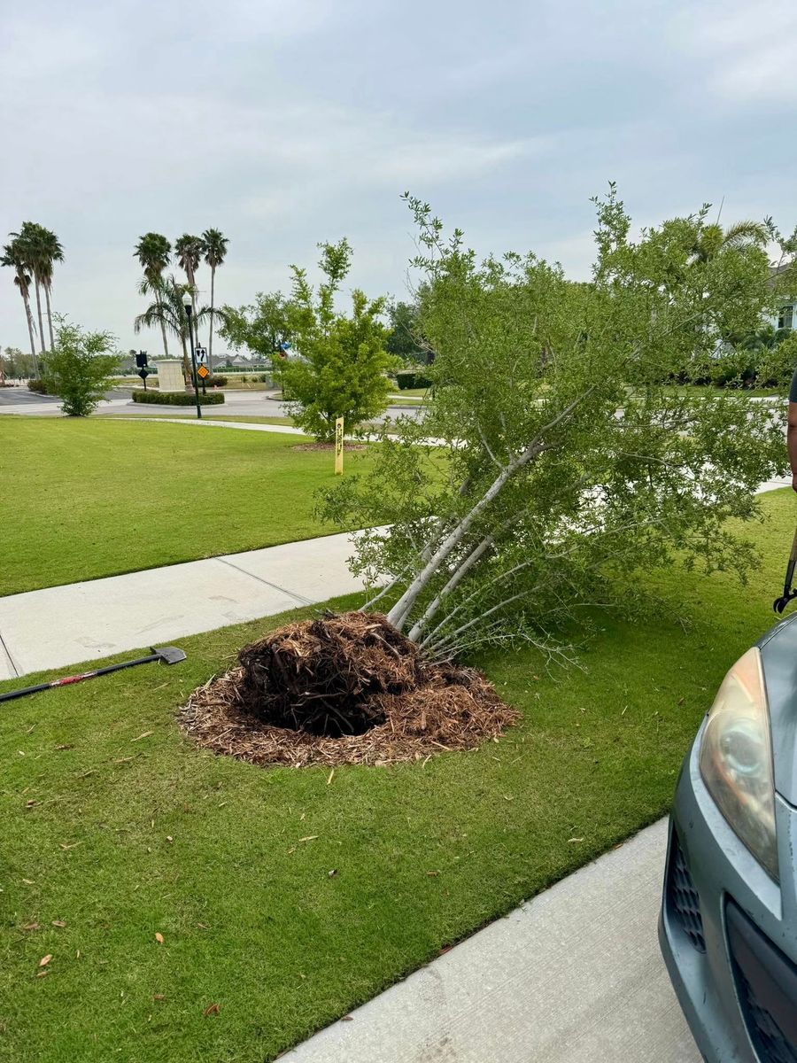 Landscaping for Shoreside Property Services in Apollo Beach, FL