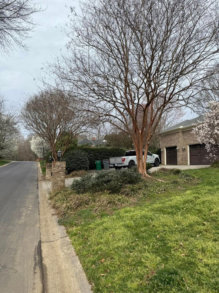 Tree & Shrub Care for Blue Sky Turf in Monroe, NC