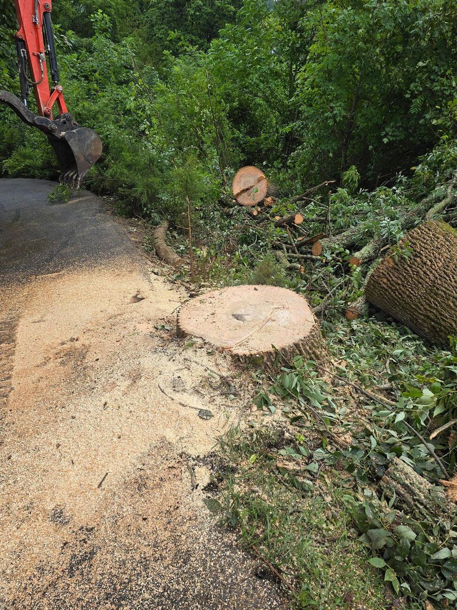 Tree Removal for M&L Lumber and Excavating in Jonesborough, TN