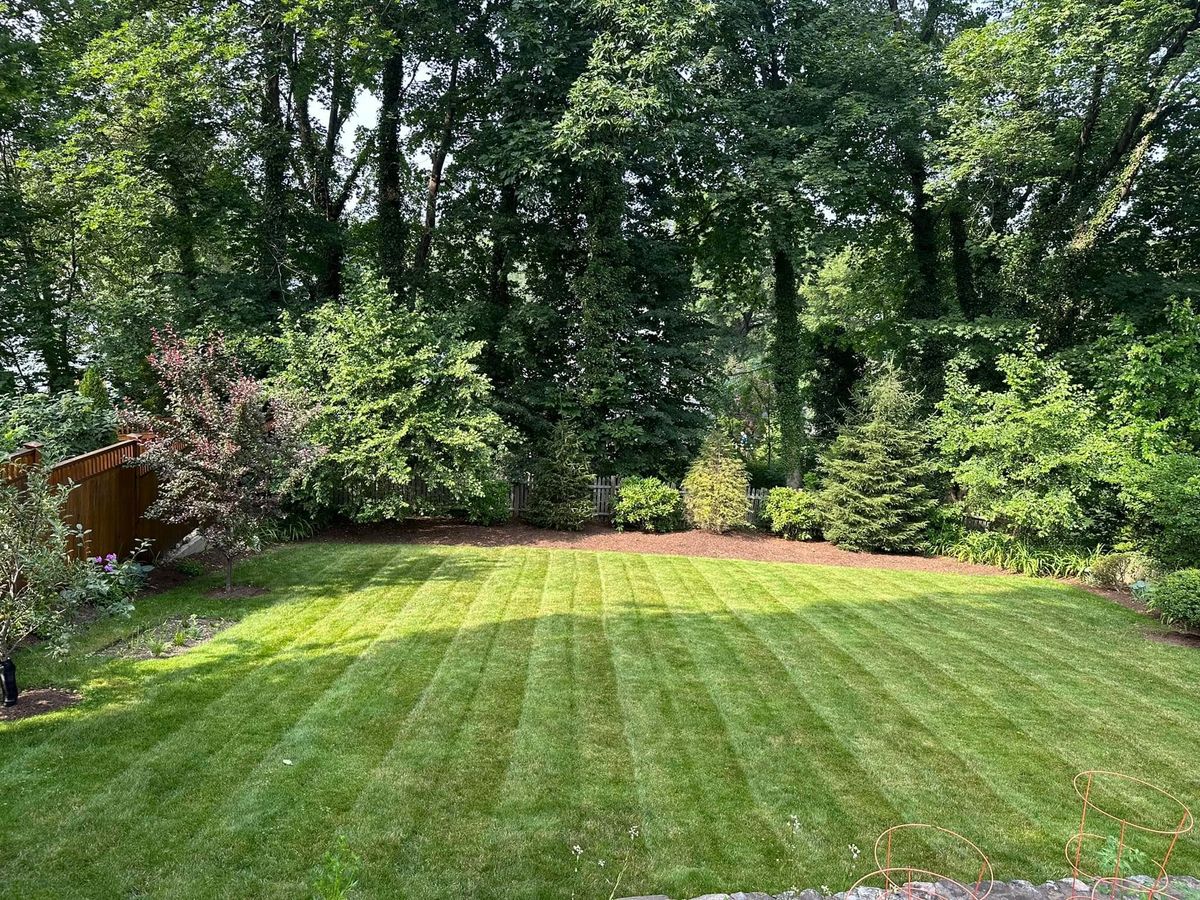 Landscape Design for Saavedra & Sons Landscaping in Waltham, MA