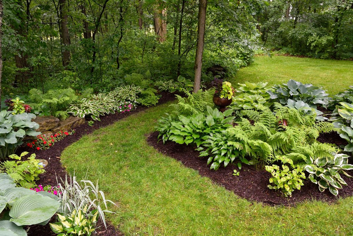 Landscaping for Grassy Turtle Services, LLC.  in Oxford, CT