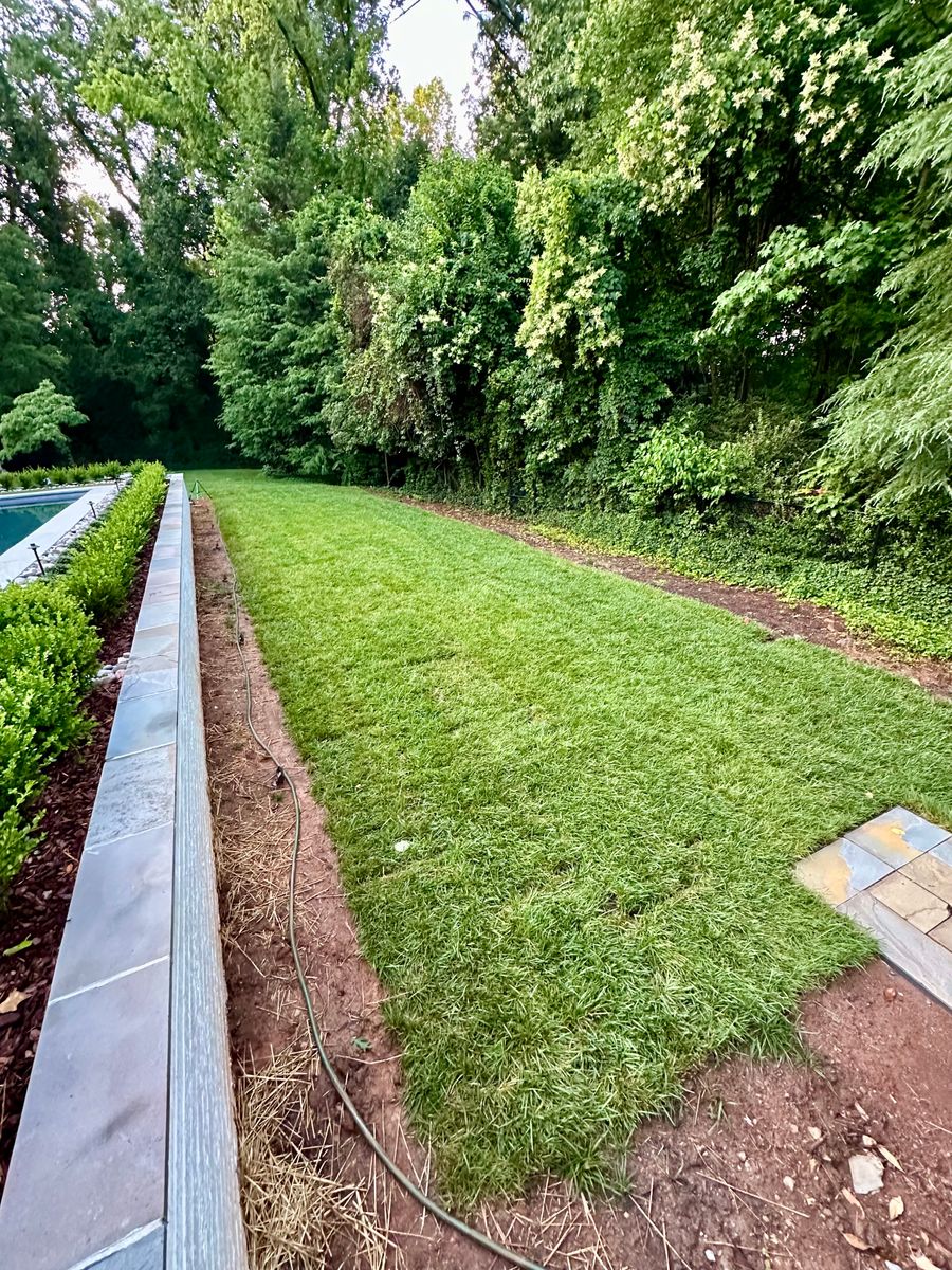 Sod Installation for Malboeuf Landscaping, Inc in Kernersville, NC