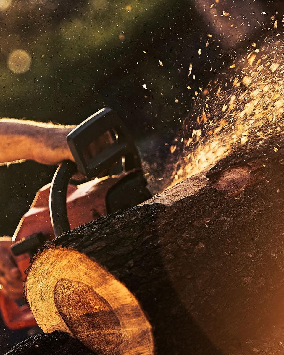 Tree Trimming for Oakwood Tree Removal LLC in Oak Creek,  WI