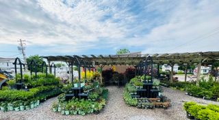 Gardening for Mayfield Landscaping in Staunton, IL
