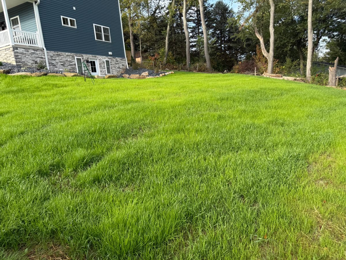 Spring Cleanup for Jenkins Landscaping & Property Management LLC in Clinton, OH