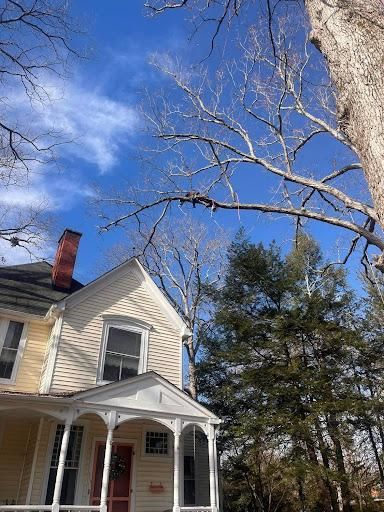 Tree Removal for Ricky's Tree Service & Property Care in Orange, VA