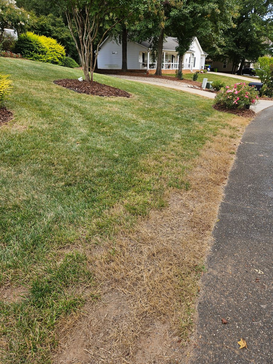 Fertilization & Weed, Insect and Diseases Control for Gallimore’s Lawn Care in Thomasville, NC