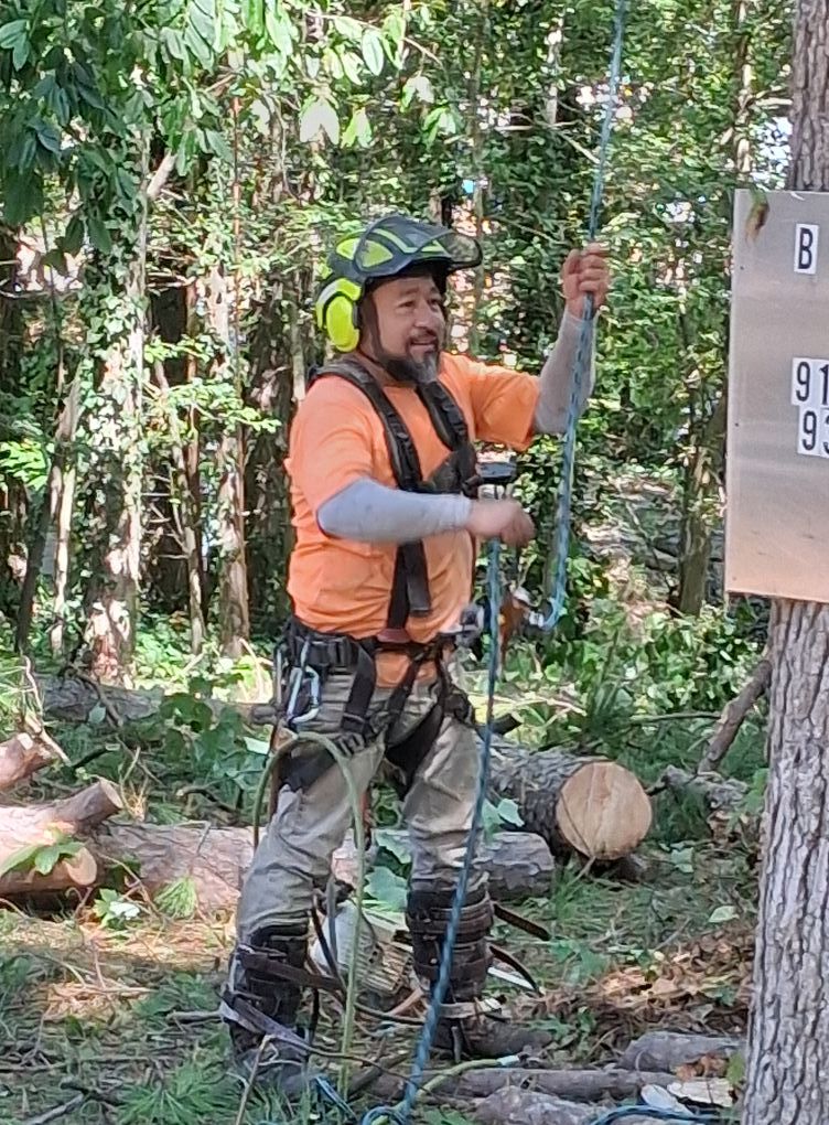 Tree Removal for Country Cutters Tree Service in Prince George, VA