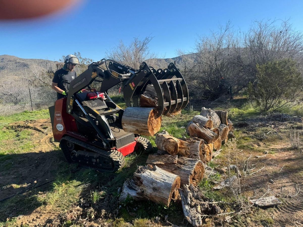 Tree Services for The Tree Fairy in Julian, CA