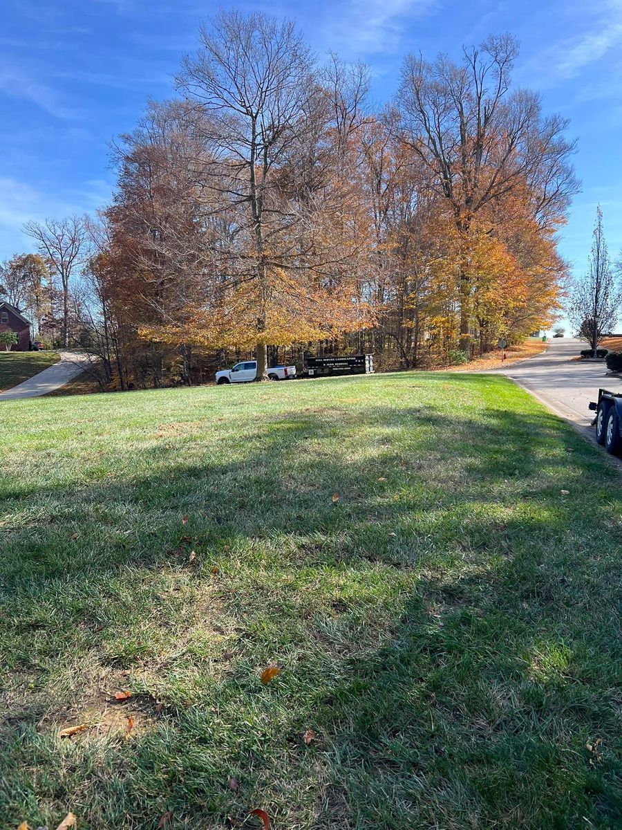 Fall Clean Up for Full Service Landscaping in Louisville, KY