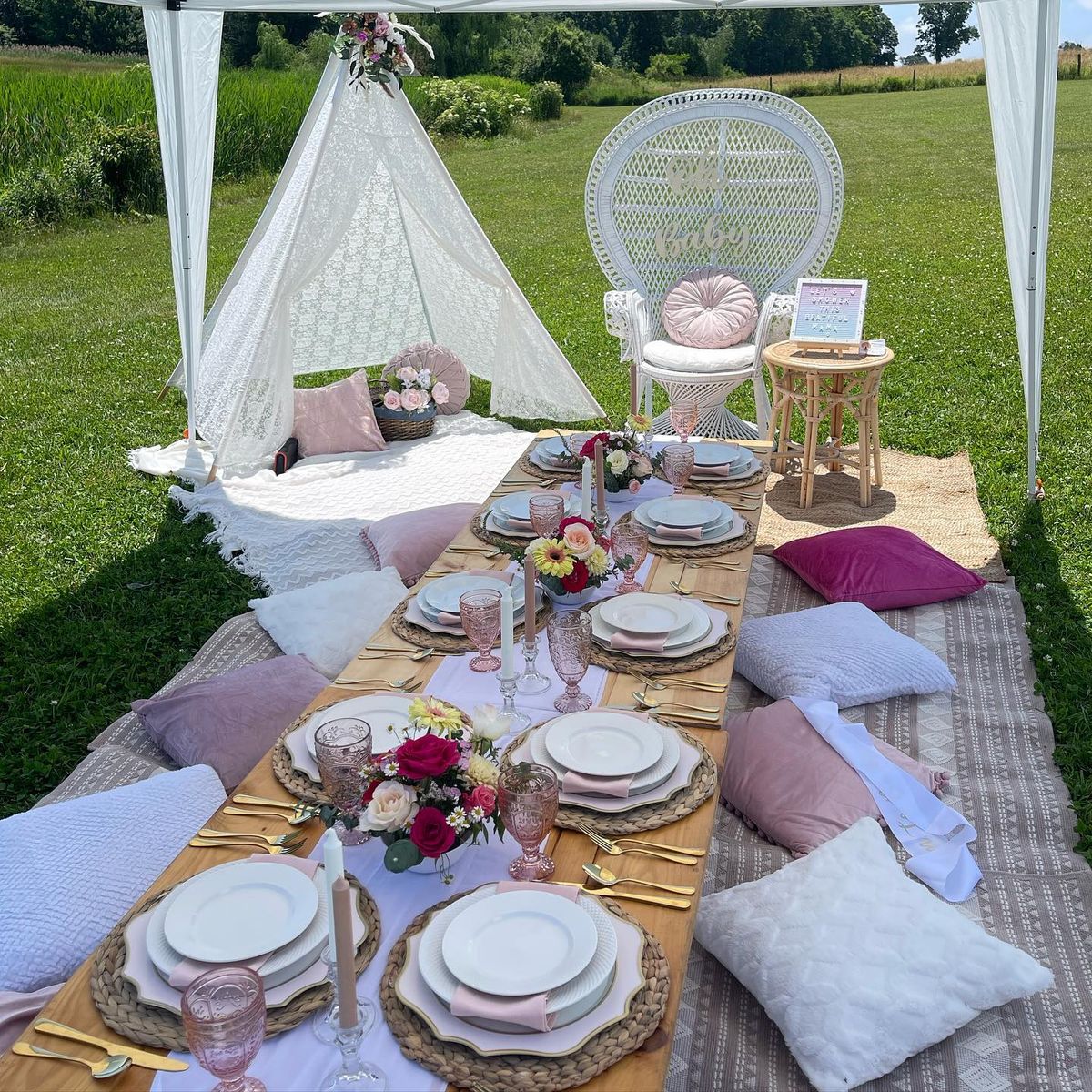 GROUP LUXURY PICNIC PACKAGES for Pink Tree Picnic in Hartford, CT