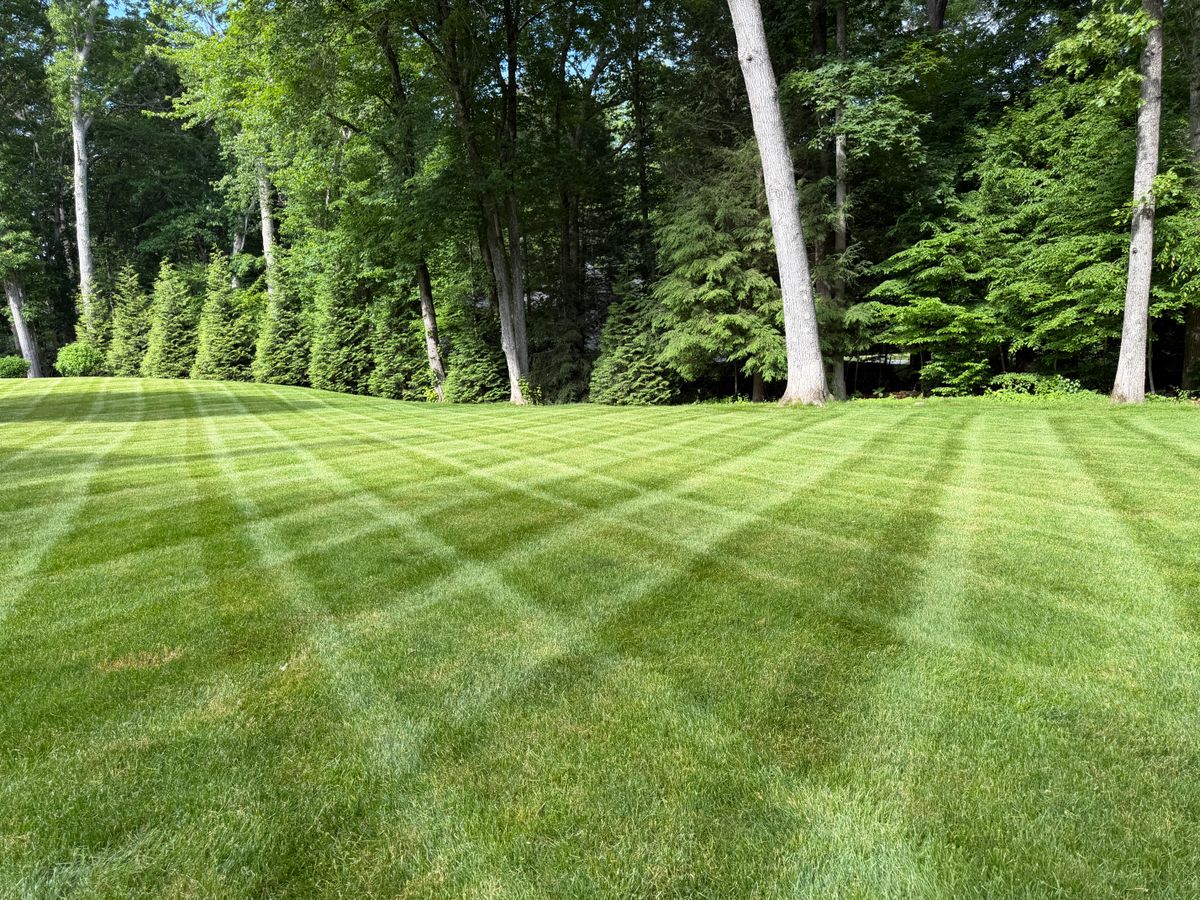 Premium Lawn Maintenance for Emerald Exterior Property Management in Old Saybrook, CT