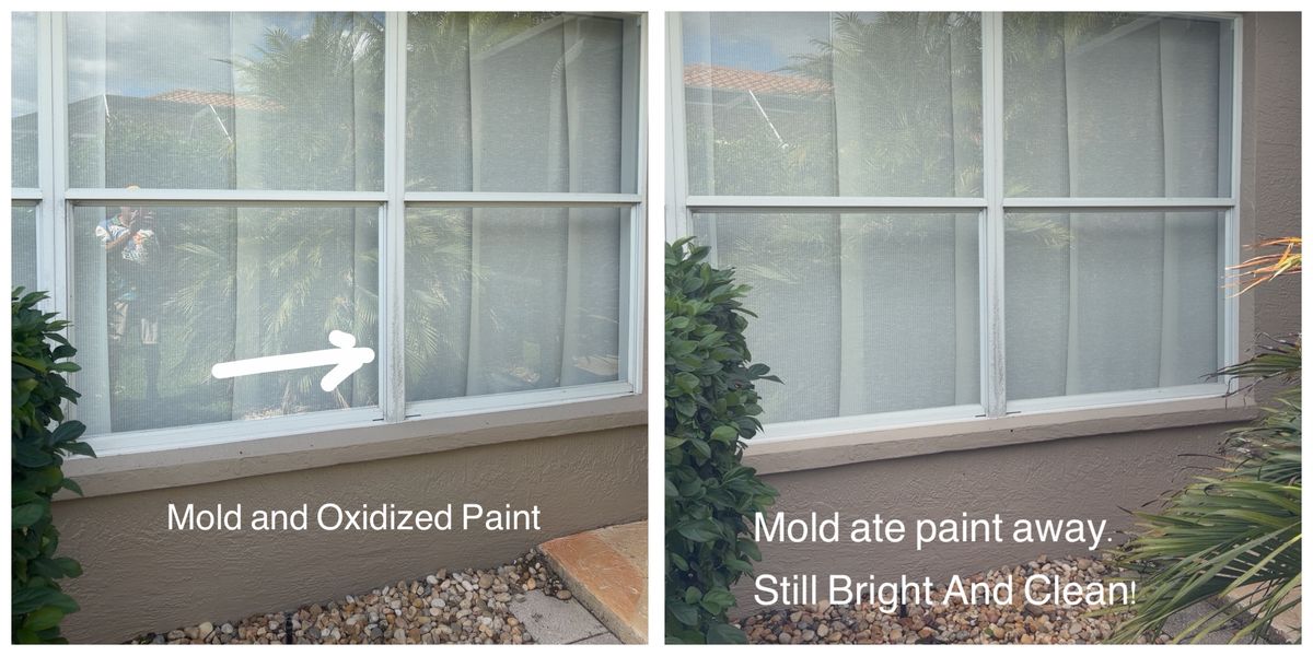 Window Cleaning for My Soft Wash Guys in Venice, FL