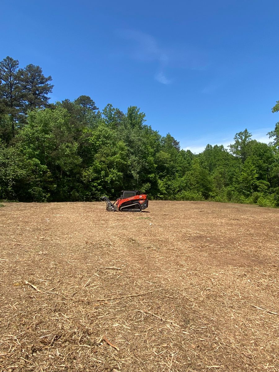 Lot Clearing for Southern Land Solutions Forestry Mulching, LLC in Cleveland, NC