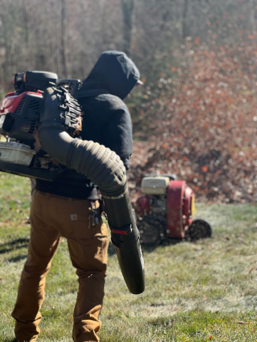 Fall Clean ups & Curbside Leaf Removal for Ace Landscaping in Trumbull, CT