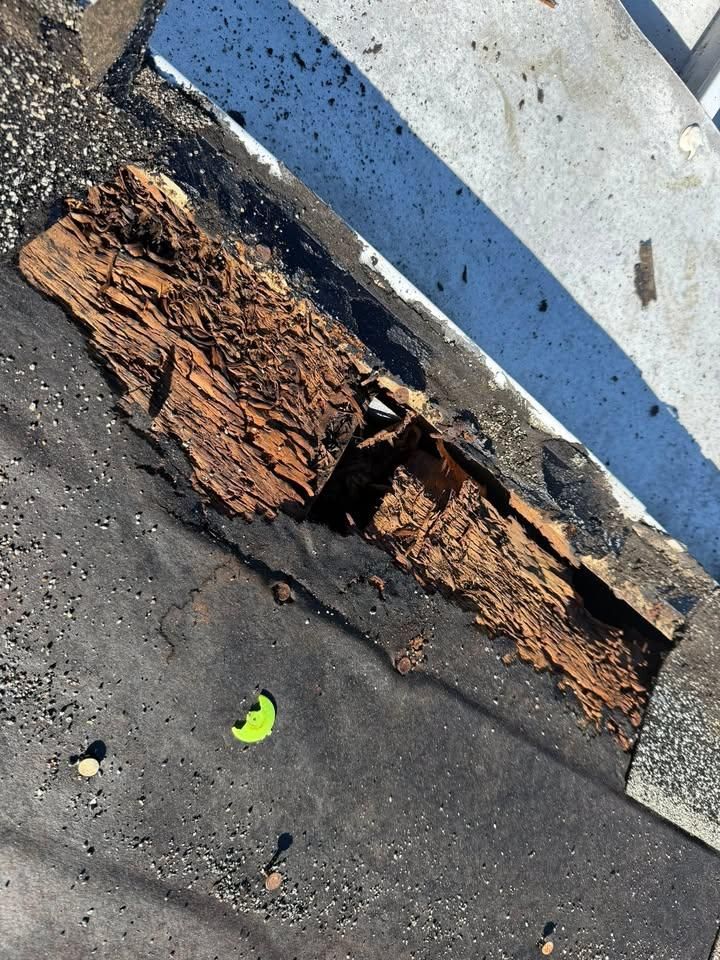 Roofing Replacement for Best Buy Roofing in Port Orange, FL