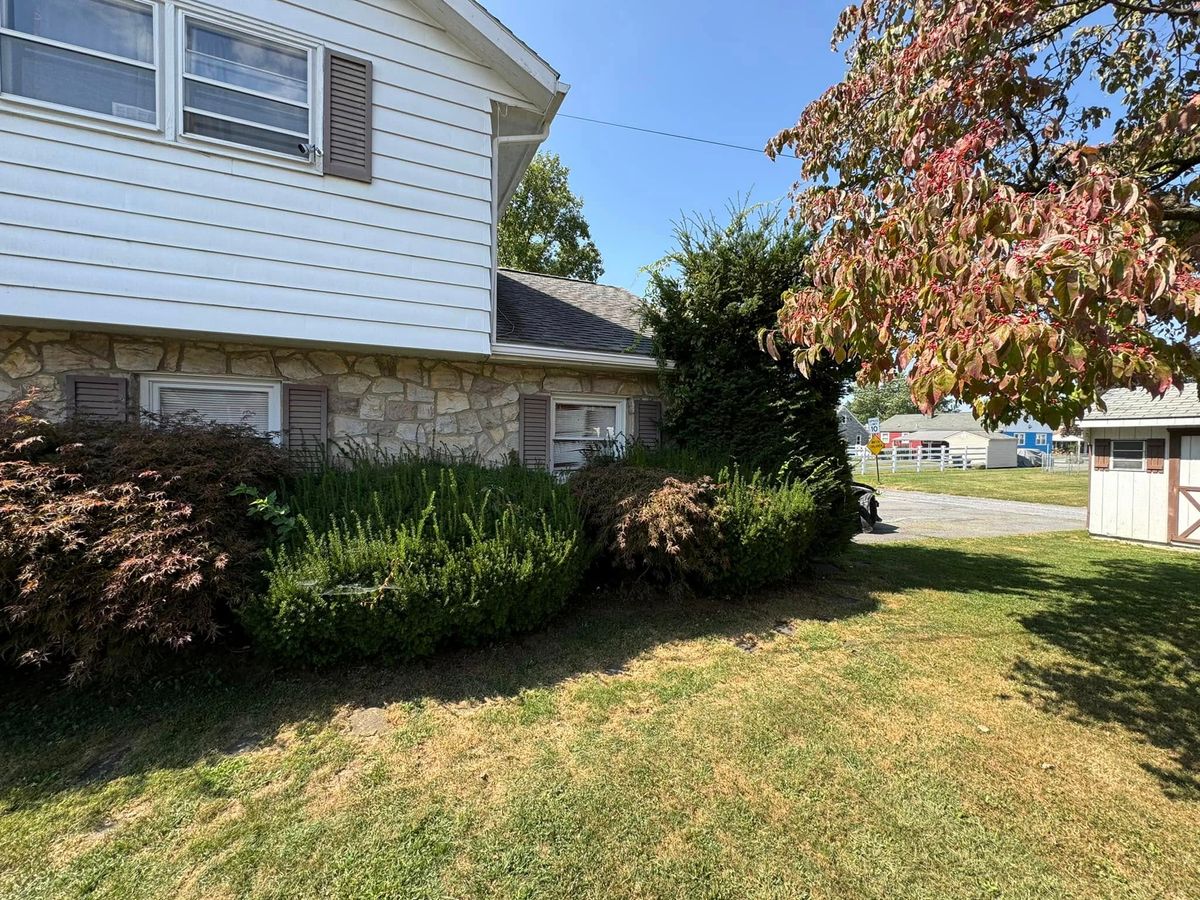 Spring Clean Ups for Landscape & Lawn Care Pros in Allentown, PA