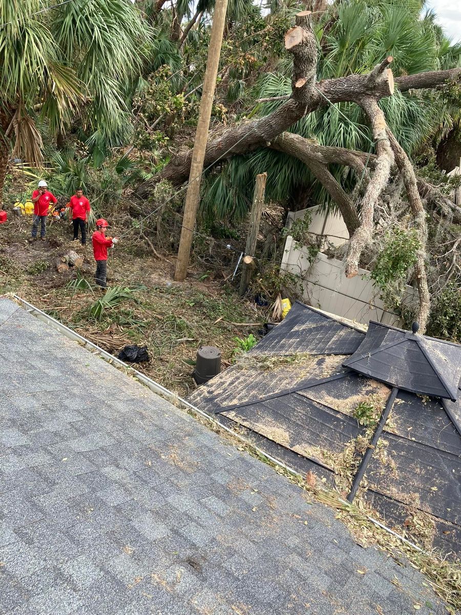 Emergency Tree Service for Bulldawg Disaster Response in Atlanta, GA