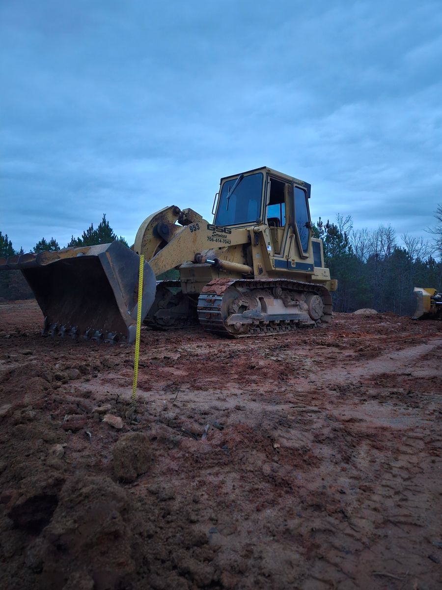 Tree Removal for GSG Services in Comer, GA