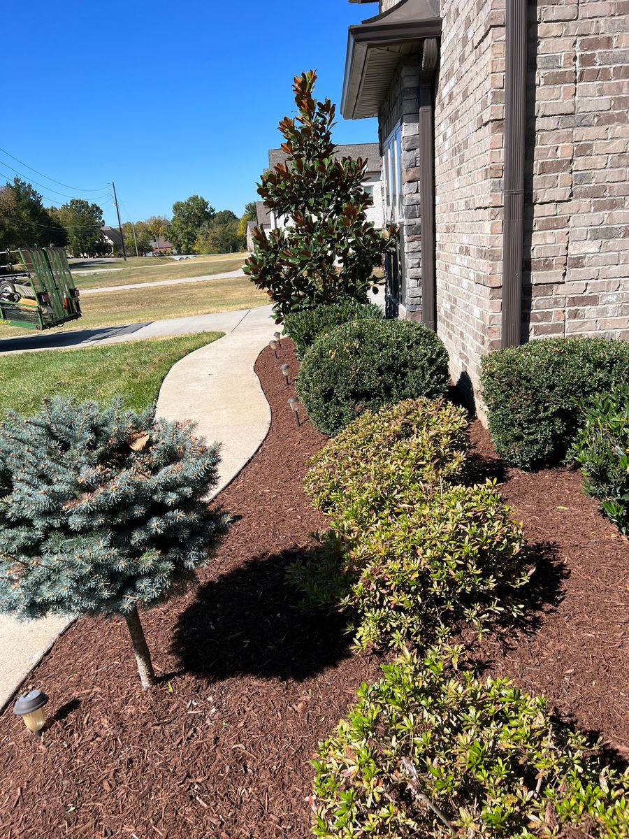 Shrub Trimming for The Right Price Right Choice Lawn Care Services in Murfreesboro, TN
