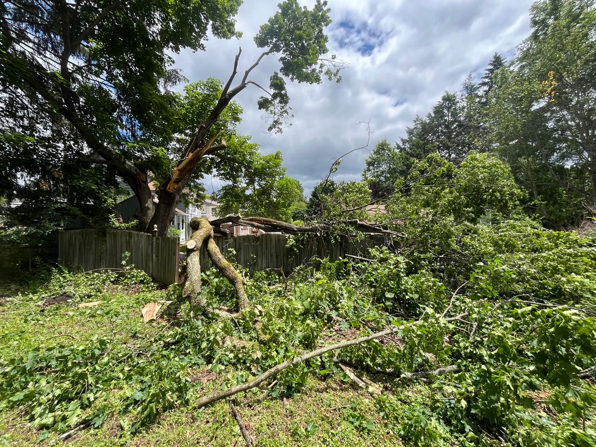 Storm work / Emergency work for Licensed to Cut Tree Service in Athens, PA
