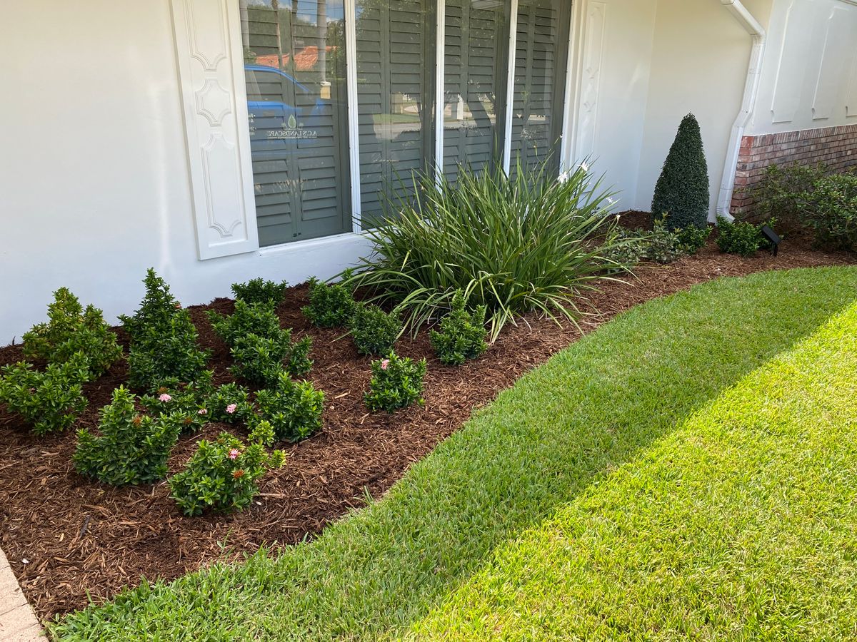 Landscape Services for A.C.'s Landscape and Lawn Maintenance in   Coral Springs, FL