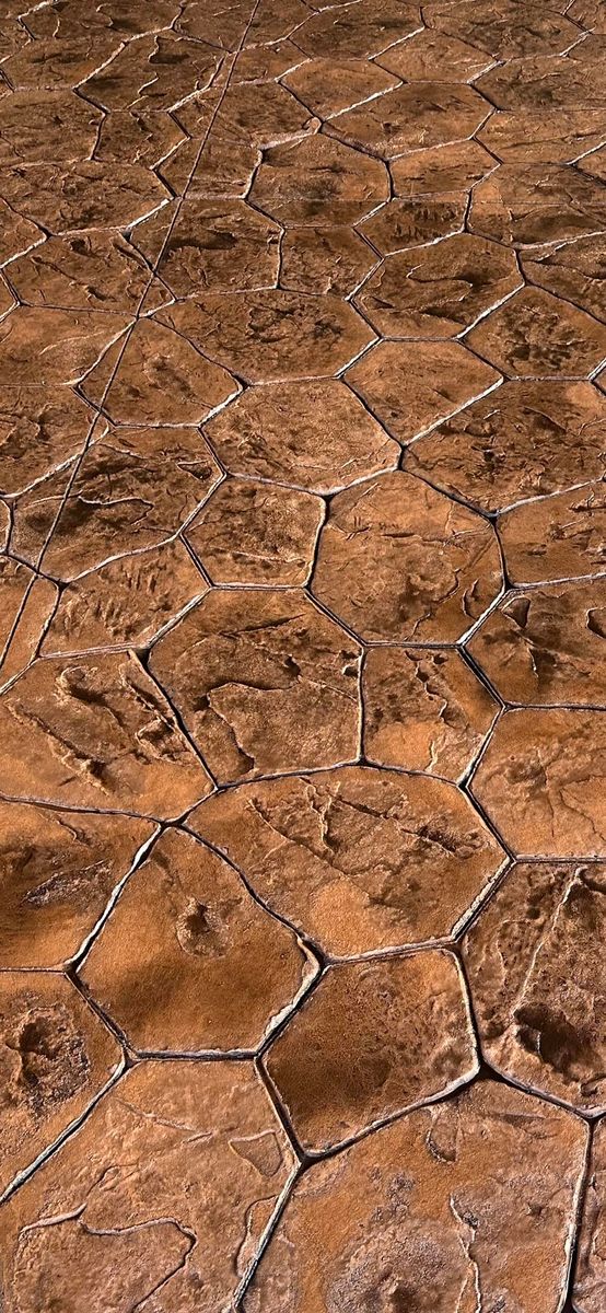 Decorative Concrete for Tuck Concrete LLC in Hendersonville, TN