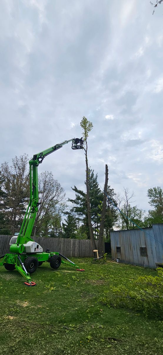 Crane Assisted Tree Removal for Olson Tree Service, Inc in Rockford, IL