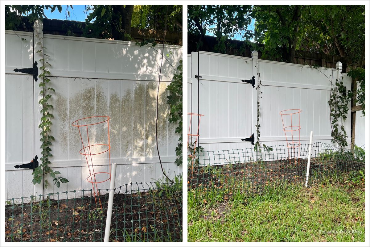 Fence Washing for Pressure Washing Warrior LLC in Ocoee, FL