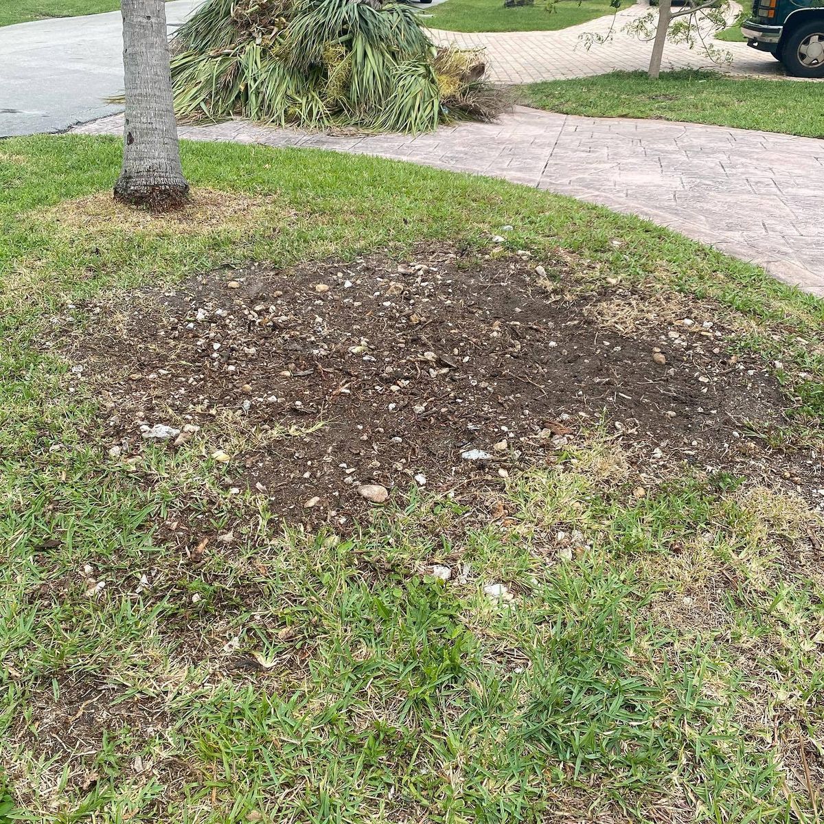 Stump Grinding for Green Touch Property Maintenance in Broward County, FL