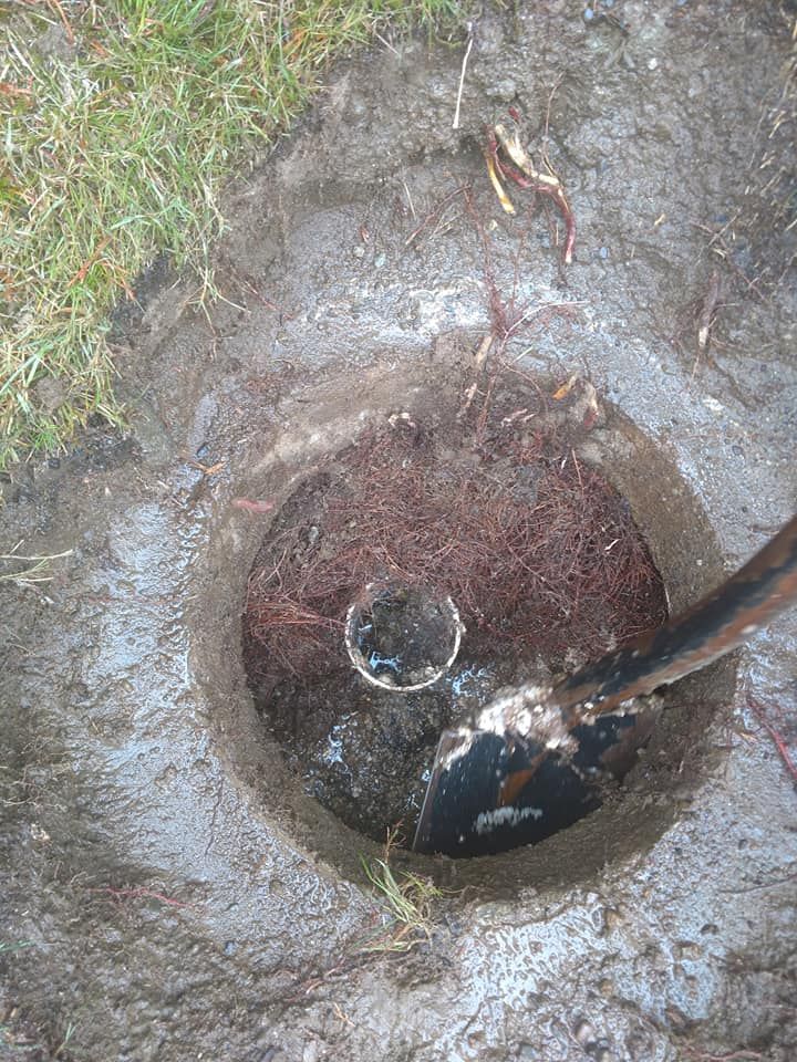 Sewer Line Replacement for Sky Valley Pumper INC in Sultan, WA