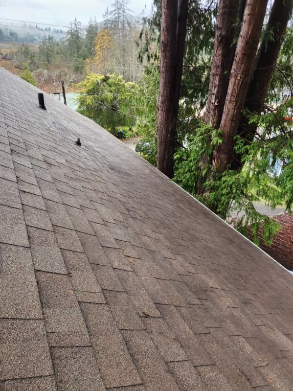 Gutter and Roof Cleaning for Bob's Yard Care & Landscaping in Raymond, WA