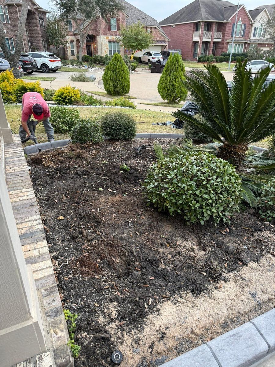 Landscaping for Texas Curb N Borders in Houston, TX