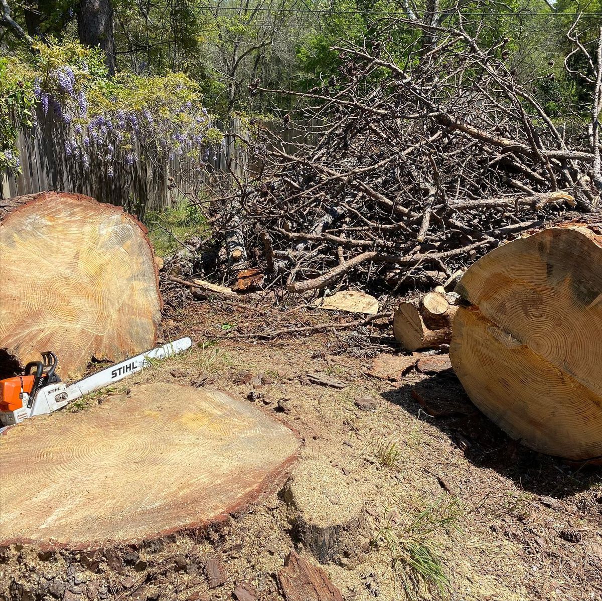 Tree Removal for Pinedown LLC in Cherokee County, GA