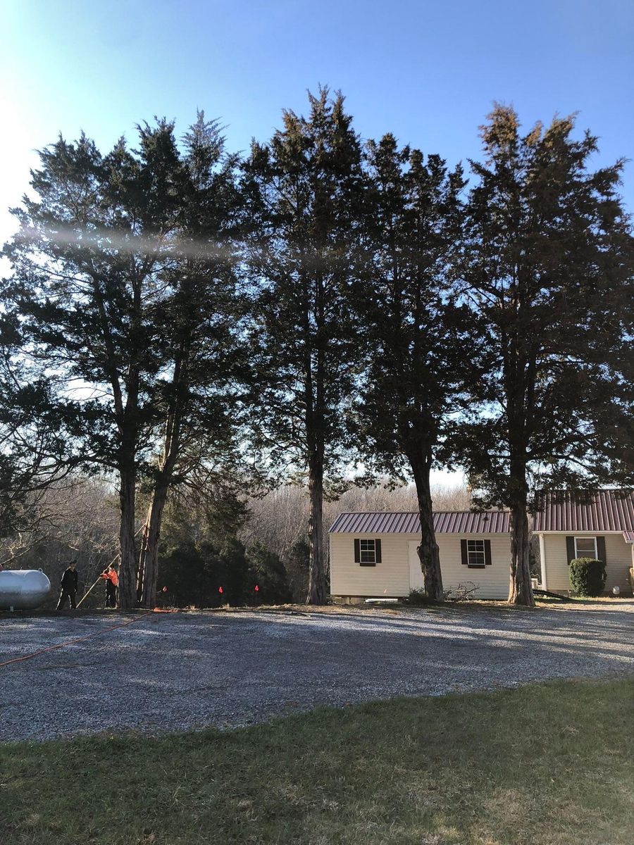 Tree Trimming for Greenskeeper Property Management in Elizabethtown, KY