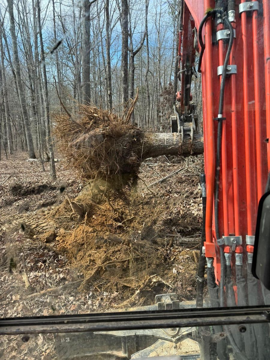 Land Clearing for TD Dirtworks in Tracy City, TN