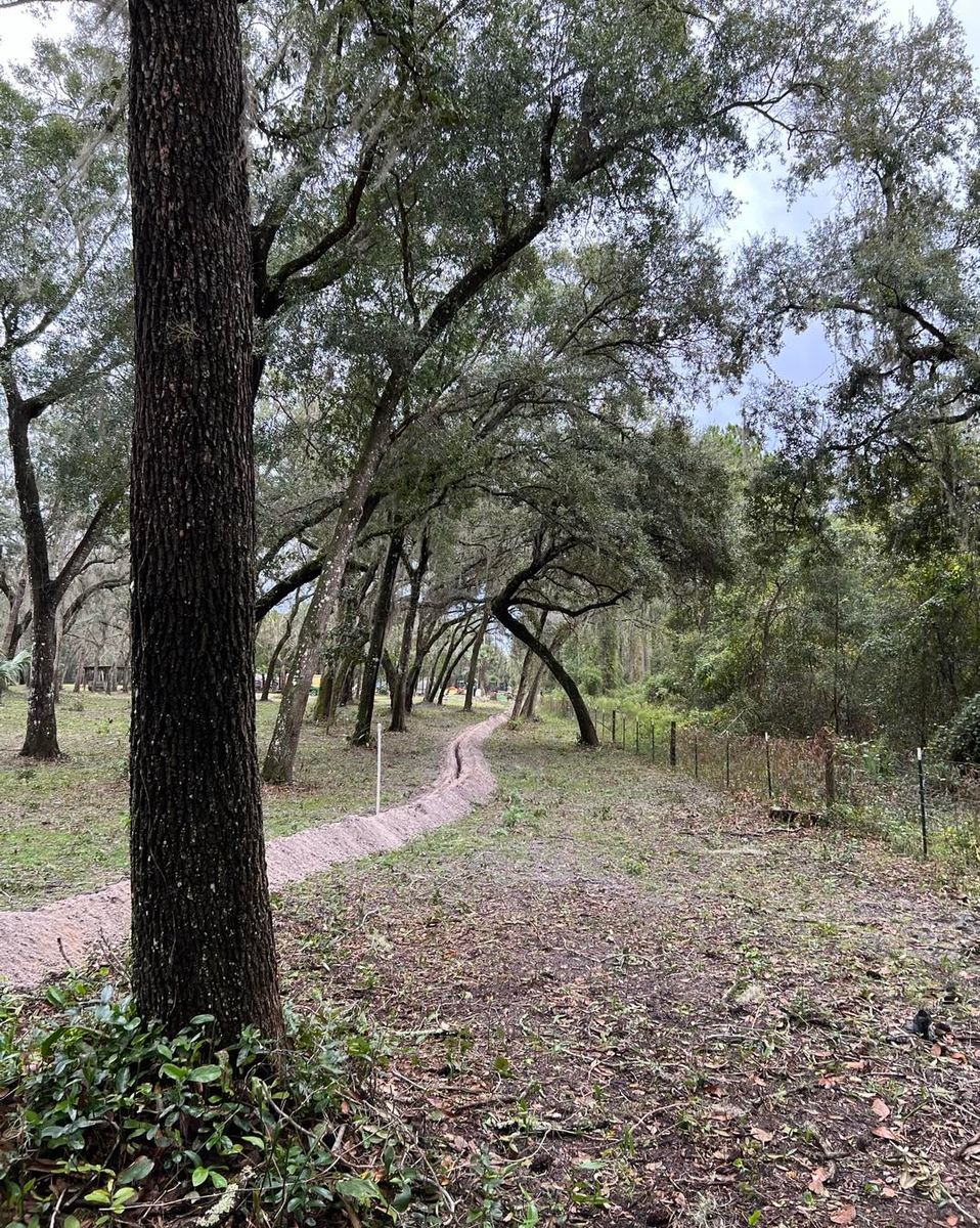 Forestry Mulching for CJ Dirtwork in Crescent City, FL