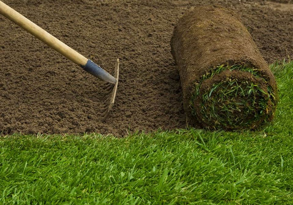 Landscape Design & Installation for Full Armor Landscapes in League City, TX