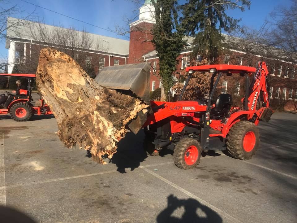 Stump Removal for Elias Grading and Hauling in Black Mountain, NC