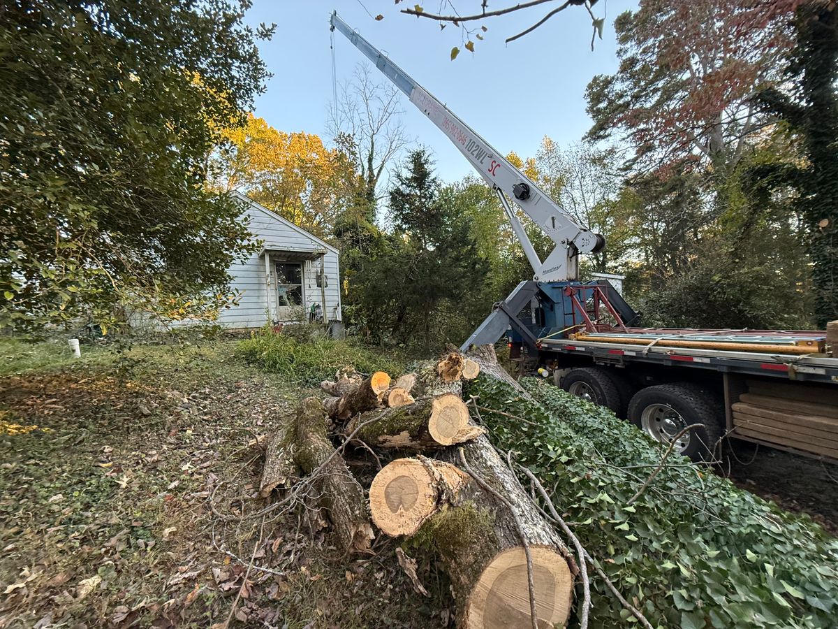 Tree Removal for Lucky’s Tree Removal and Landscape Services in Clinton, TN