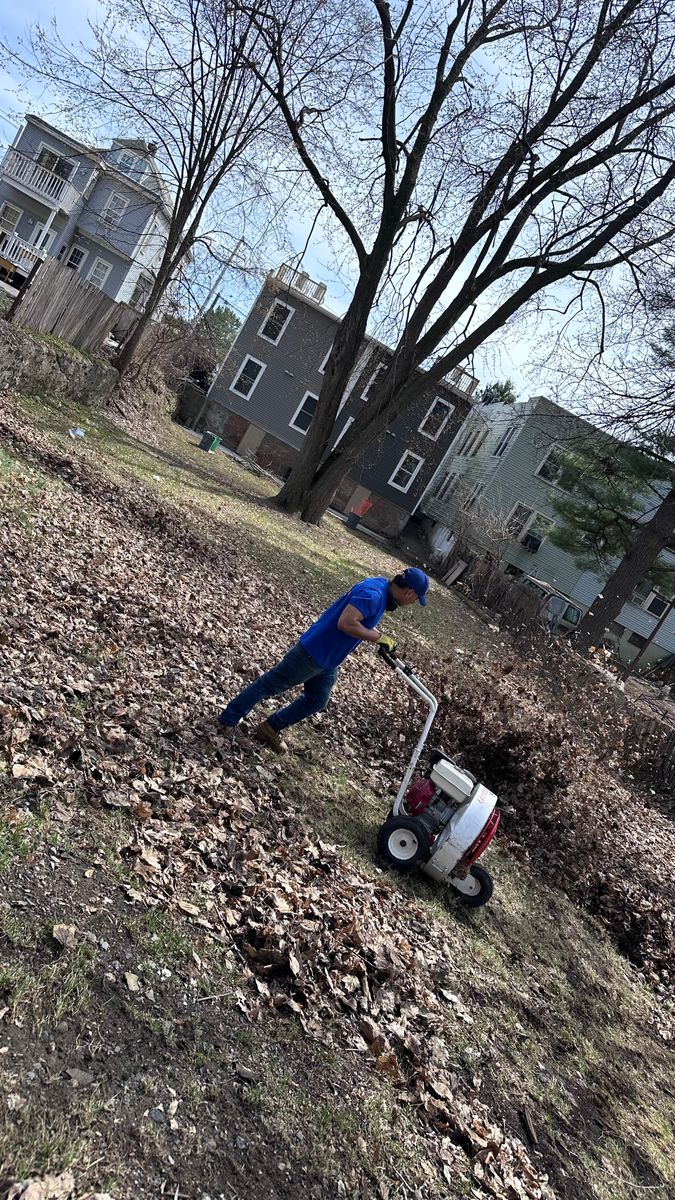 Leaf Removal for 4 Brothers Landscaping LLC in Albany, NY